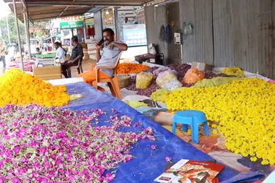 Kerala’s Onam flower markets bloom as supply worries push up prices