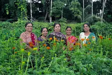 ഓണത്തിന് ജൈവപൂക്കൾ; വിഷമടിക്കാത്ത പൂക്കൾ പരീക്ഷിച്ച് നിറവിലെ സ്ത്രീകൾ