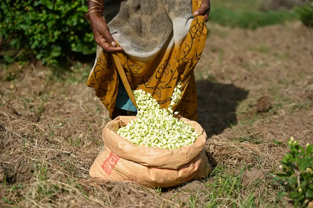 Representational image | Photo: Mathrubhumi
