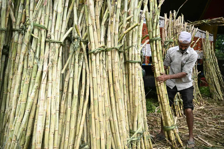 പഞ്ചസാര വിലക്കയറ്റത്തിന് കാരണം ഇ20 പെട്രോളോ? ആരോപണങ്ങളുമായി പ്രതിപക്ഷം, മറുപടി നൽകി കേന്ദ്രസർക്കാർ