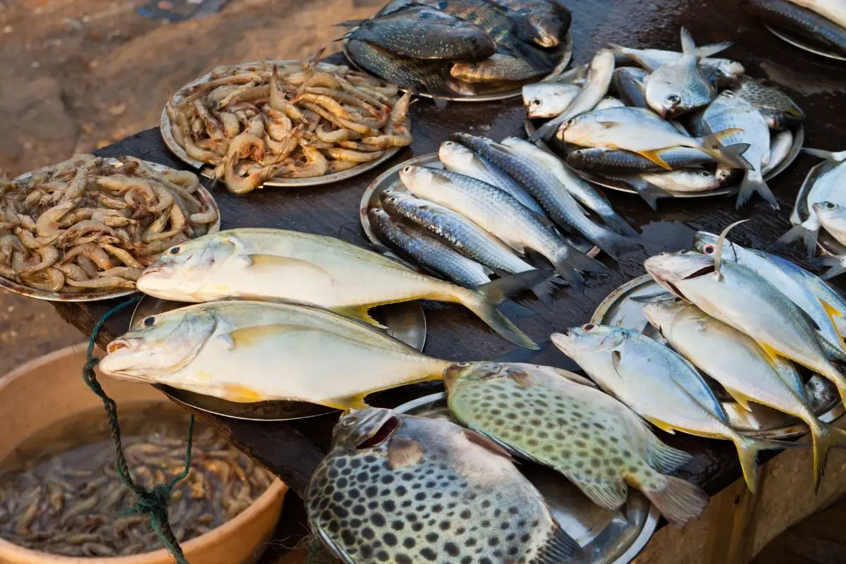Representative Image | Photo: Canva