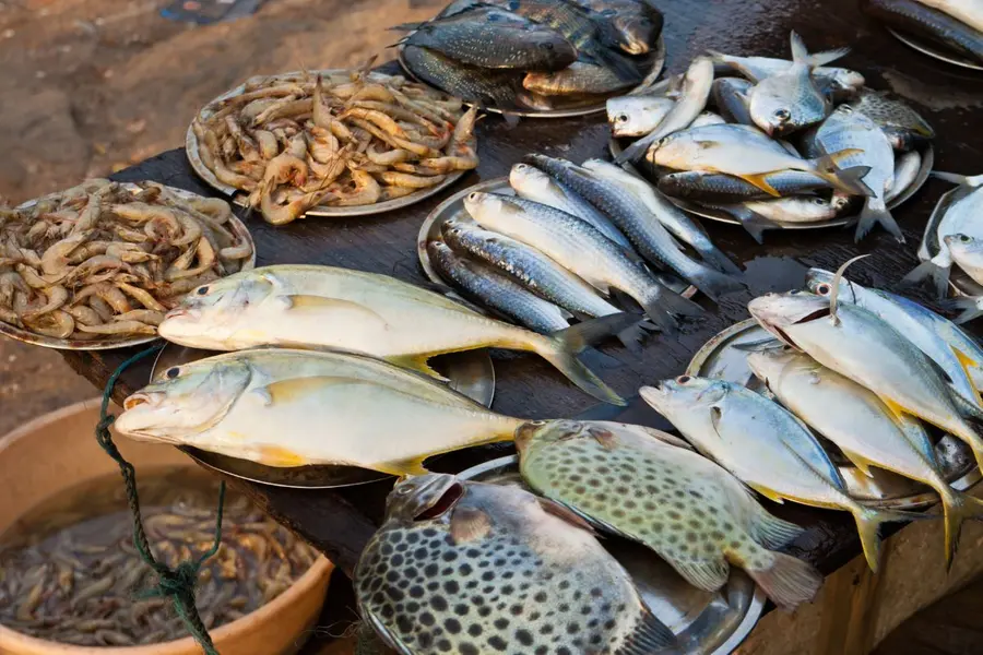 Seafood