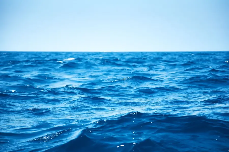 Panama-flagged ship carrying iron ore sinks off Odisha with 24 on board; rescue operation launched