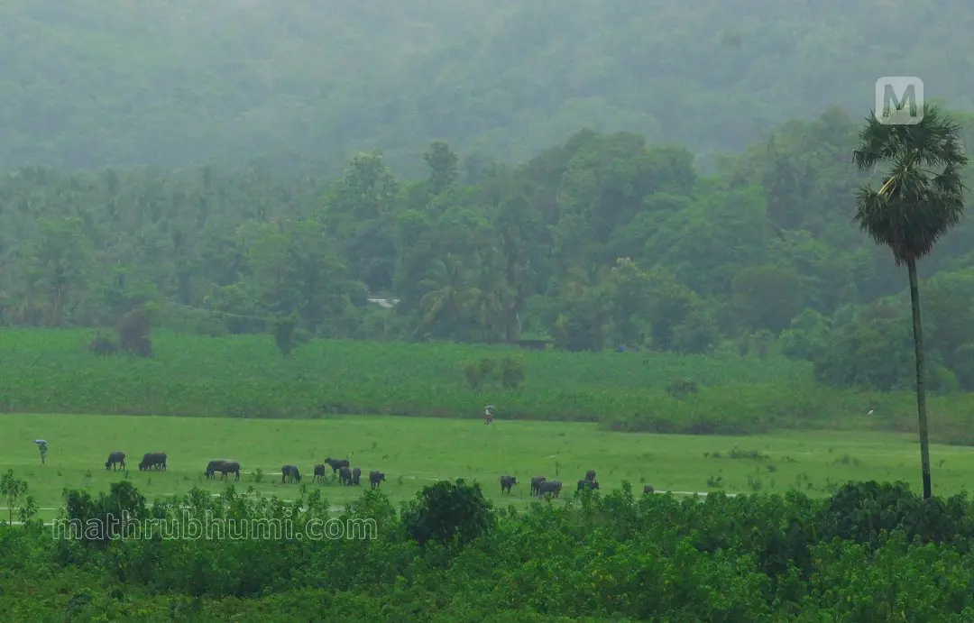 പ്രതീകാത്മ ചിത്രം
