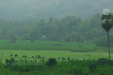 പൂരാടവും ഉത്രാടവും മഴയിൽ മുങ്ങുമോ? ബംഗാൾ ഉൾക്കടലിൽ വീണ്ടും ന്യൂനമർദം; ശക്തമായ മഴയ്ക്ക് സാധ്യത