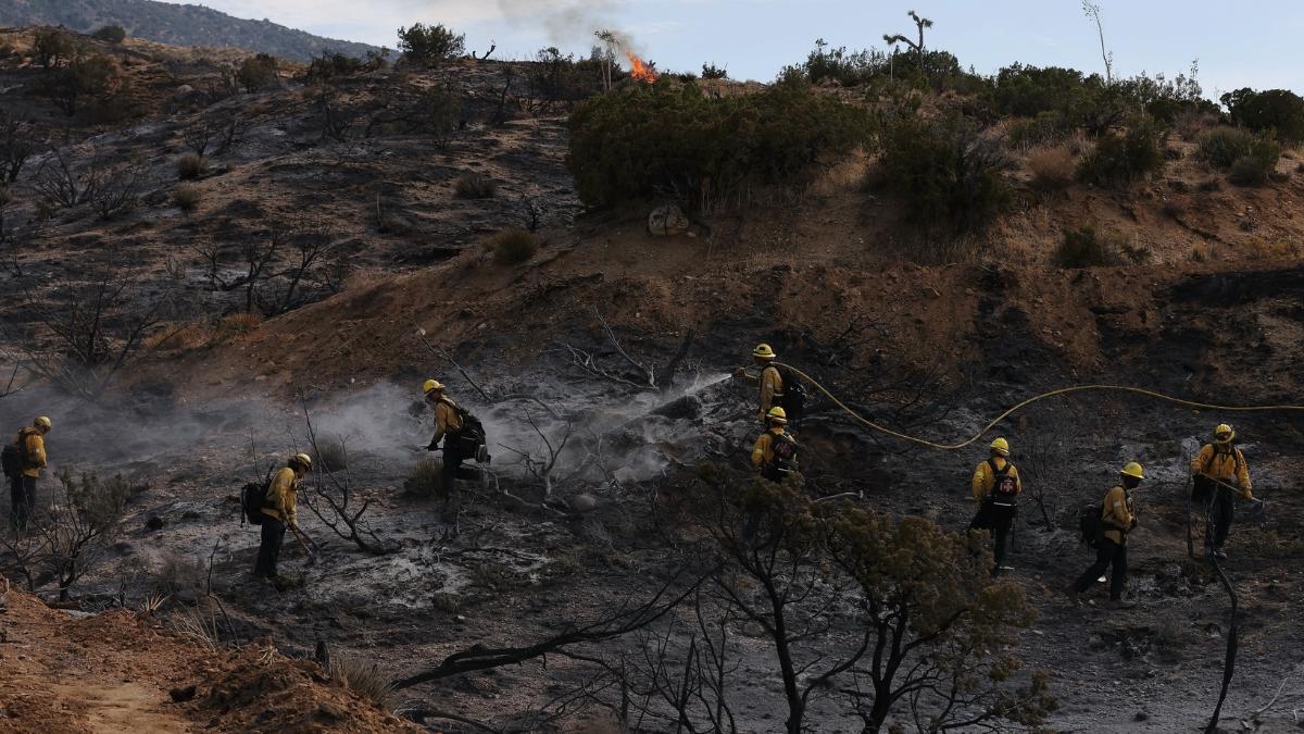 Nevada Hawk Fire: 42000 residents evacuated as wind-driven wildfire rushes toward Reno in US