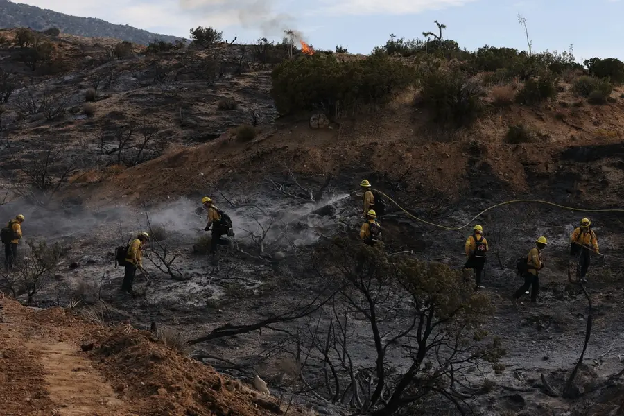 Nevada Hawk Fire