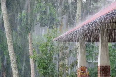 Kerala rain alert: IMD issues orange warning for 6 districts as heavy downpours loom