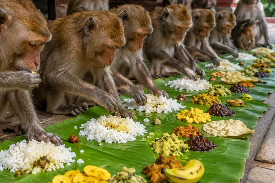 monkey onam sadhya
