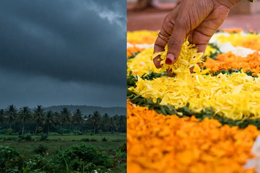 Kerala weather alert: Rain may disrupt Onam plans and travel; know districts under yellow alert