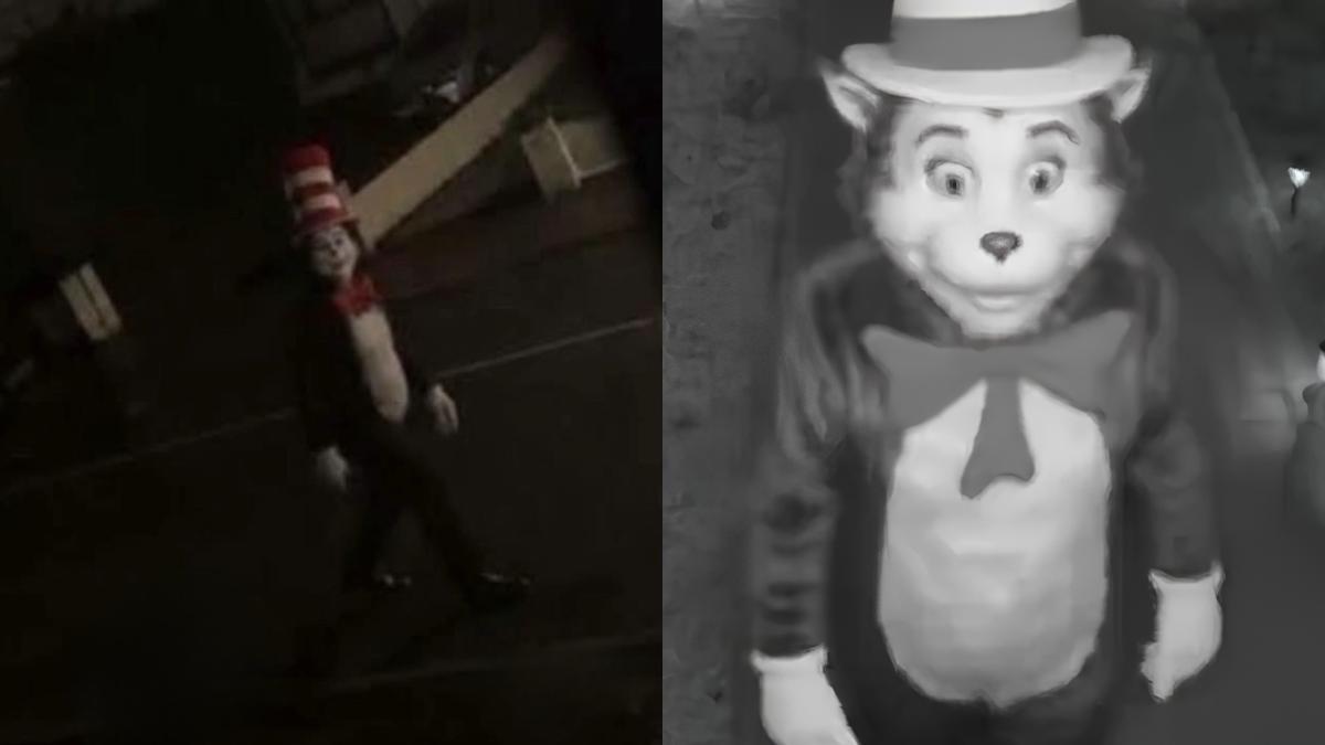 What Is The Viral Cat In The Hat Trend And Why Is It Spreading Panic what-is-the-viral-cat-in-the-hat-trend-and-why-is-it-spreading-panic