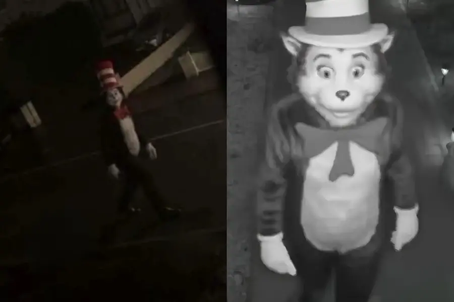 What is the viral ‘Cat in the Hat’ trend and why is it spreading panic?