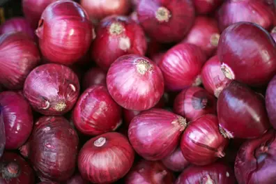 Onion prices rise: 840 MT planned for Delhi, only 450 MT sent as farmers raise quality concerns