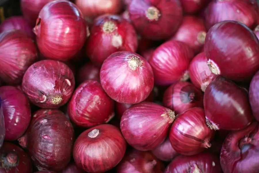 Onion prices rise: 840 MT planned for Delhi, only 450 MT sent as farmers raise quality concerns