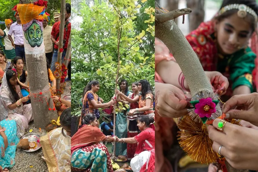 Why hundreds of thousands of Indian trees become ‘brothers’ in a unique Raksha Bandhan tradition