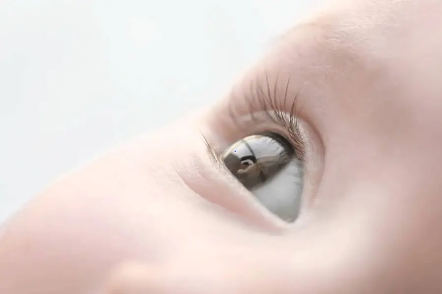 eye