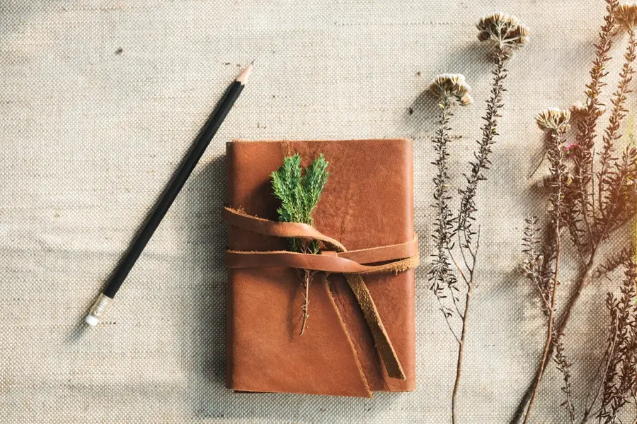 Word of the Day, August 29: ‘Guache’
