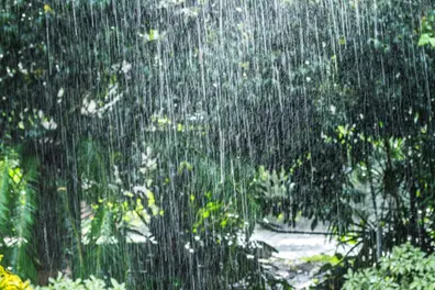 IMD forecasts rainfall in states including West Bengal, Odisha and Jharkhand