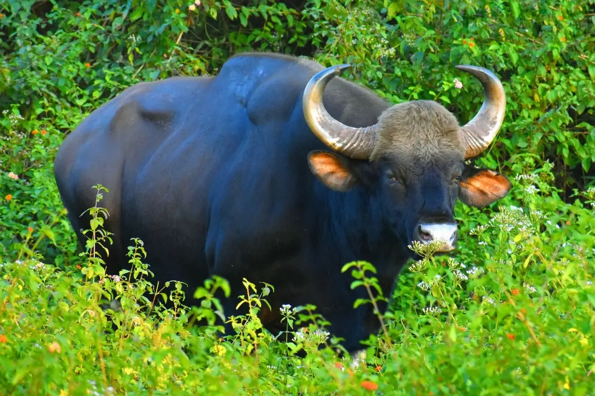 Representative Image | Photo: Canva