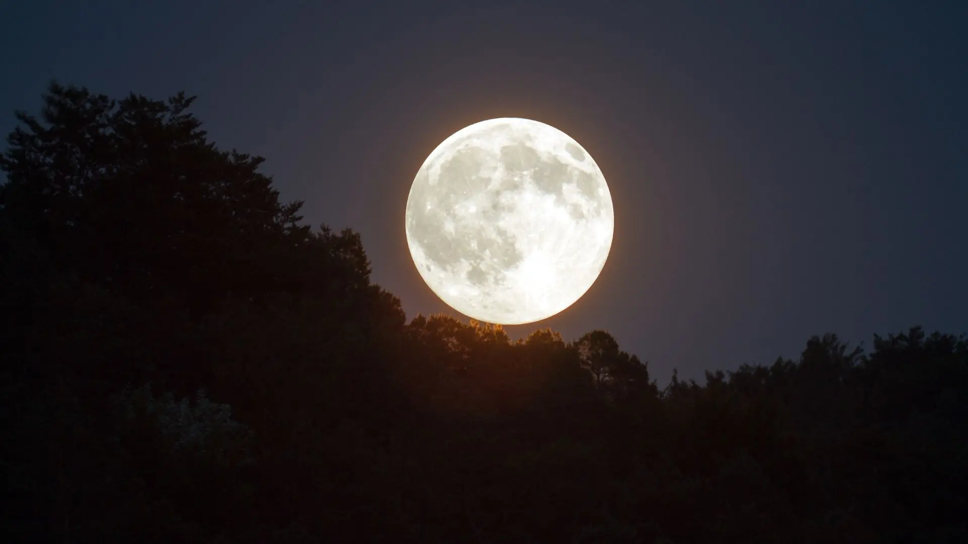 Representational Image | Photo: Canva