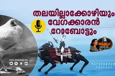 തലയില്ലാക്കോഴിയും ഉസൈൻ ബോൾട്ടിനെ മറികടന്ന വേഗക്കാരനും