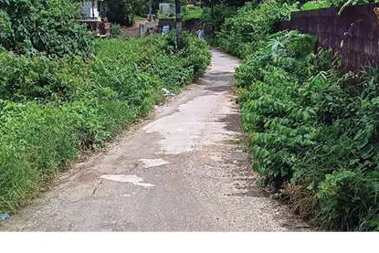 ആർ.ടി. ഓഫീസിലേക്കുള്ള റോഡ് കാടുമൂടിയ നിലയിൽ