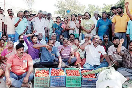 കൈയേറ്റങ്ങൾ ഒഴിപ്പിക്കണമെന്നാവശ്യപ്പെട്ട് സിങ്കാനല്ലൂർ കർഷകച്ചന്തയിൽ സമരം