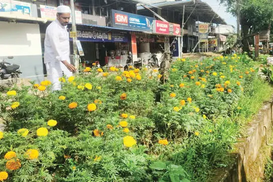 കാഴ്ചവസന്തമൊരുക്കിപാതയോരത്തെ ചെണ്ടുമല്ലിത്തോട്ടം