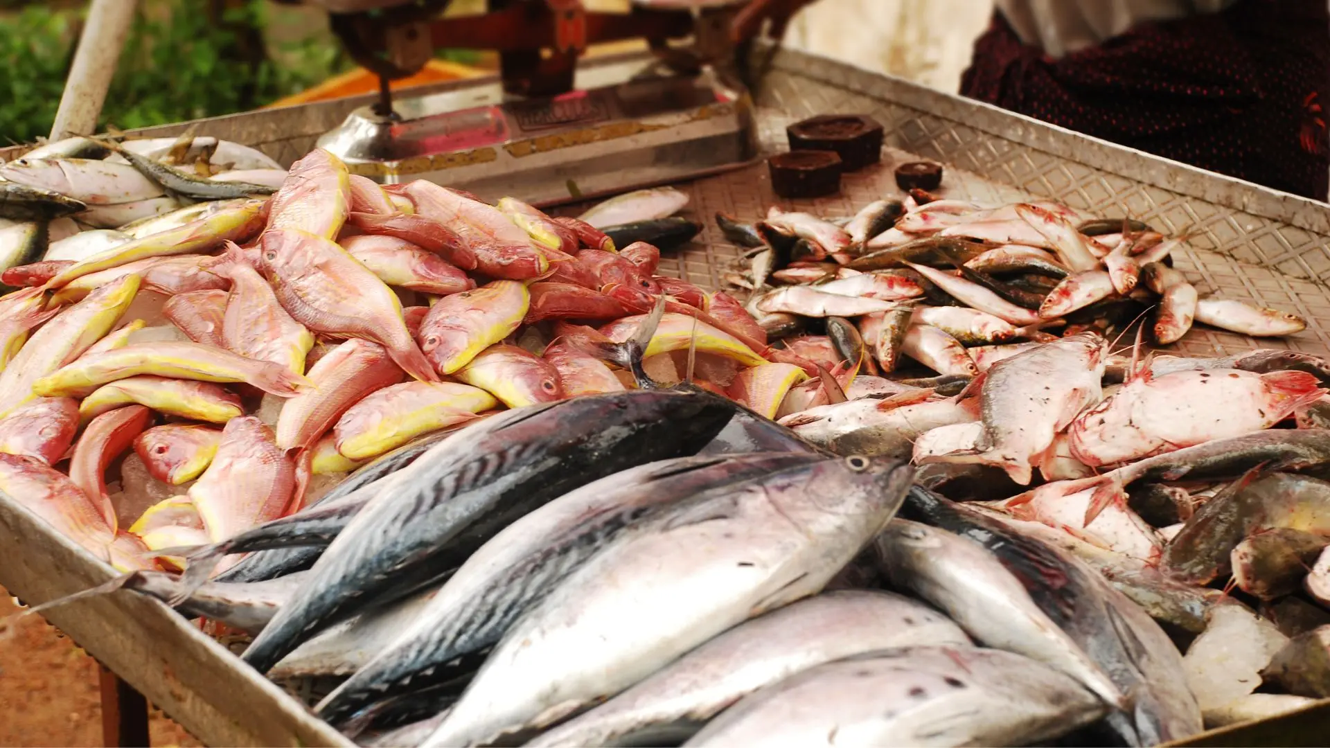 Representational image | Photo: Madhuraj