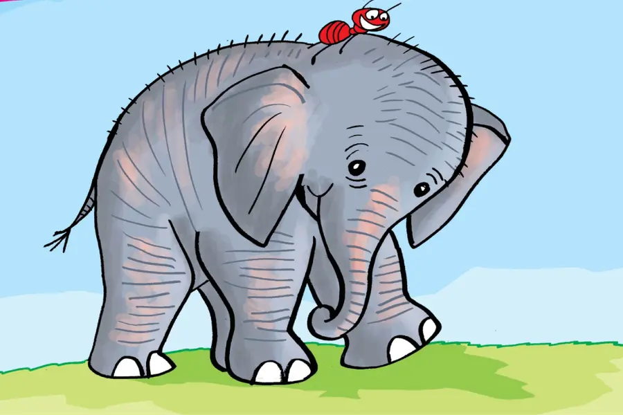 Ant&Elephant