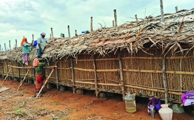 തിരുപ്പൂർ ജില്ലയിലെ ഗുഡിമംഗലത്ത് വിളവെടുത്ത ചെറിയഉള്ളി സൂക്ഷിക്കാൻ തയ്യാറാക്കിയ താത്ക്കാലിക ഷെഡുകൾ