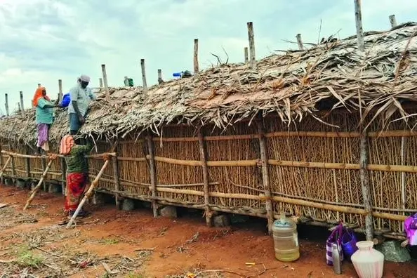 വില കൂടുമെന്നപ്രതീക്ഷയിൽ ചെറിയഉള്ളി കൃഷിയിടങ്ങളിൽത്തന്നെ സൂക്ഷിച്ച് കർഷകർ