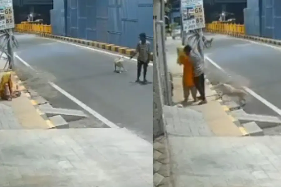 Stray dogs foil alleged molestation attempt on woman in Coimbatore; CCTV captures incident