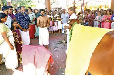 അണിയിൽ ശ്രീകൃഷ്ണ സ്വാമിക്ഷേത്രത്തിൽ ഗോപൂജ
