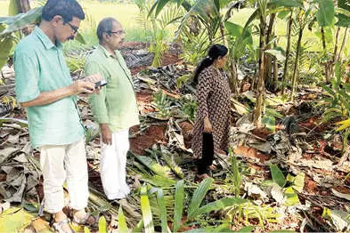 തണ്ണീർത്തടം മണ്ണിട്ട് നികത്തുന്നു; നടപടിയെടുക്കാതെ അധികൃതർ