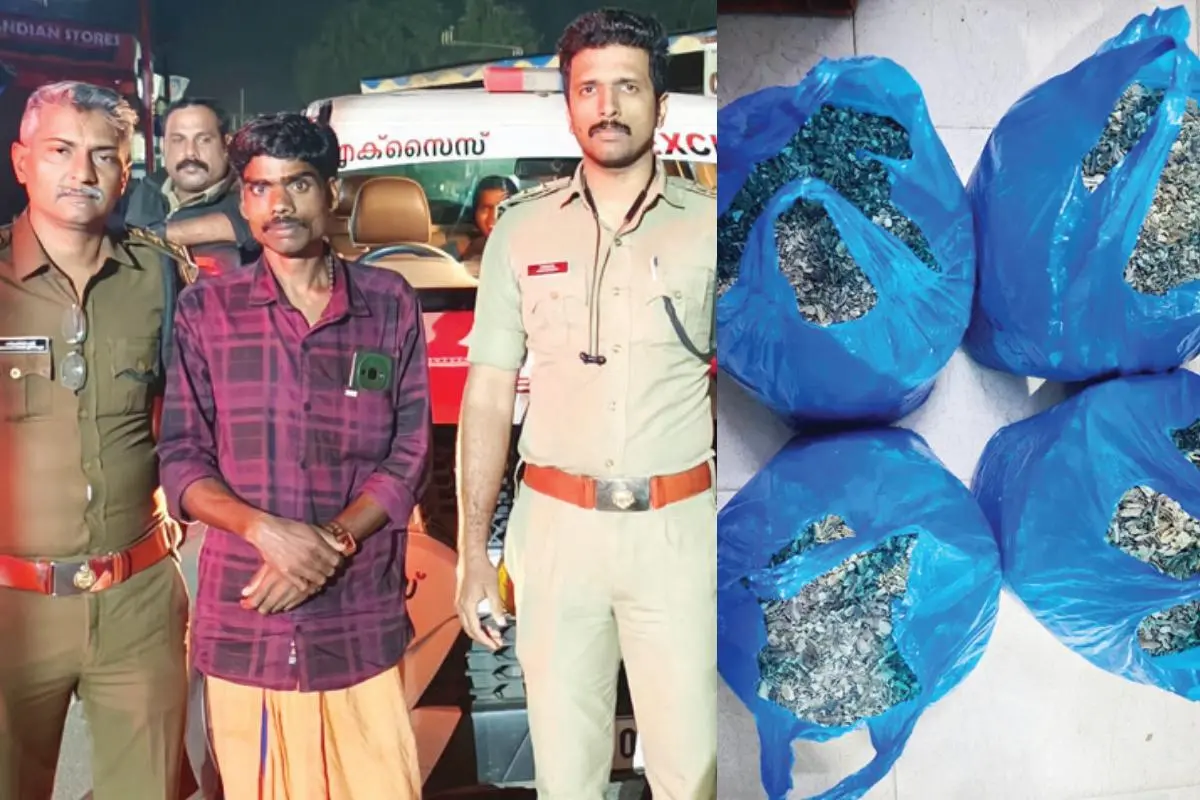 പ്രതി മോഹൻരാജിനൊപ്പം എക്സൈസ്‌ സംഘം, പിടിച്ചെടുത്ത വൈക്കോൽ കറുപ്പ്