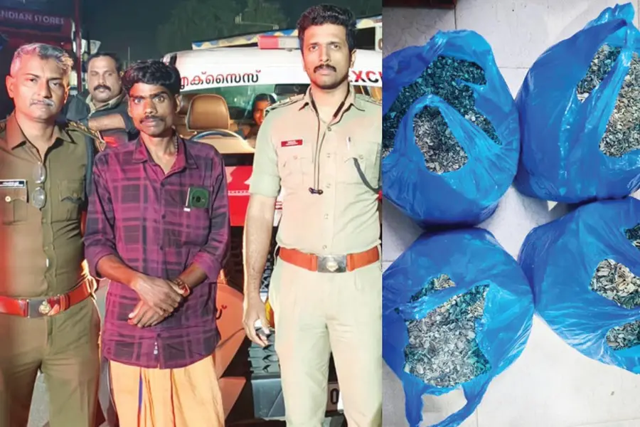 Kerala's First Poppy Straw Seize: One Arrested in Munnar