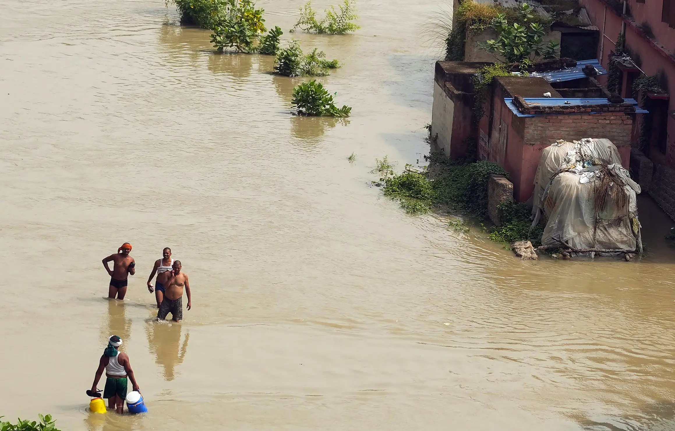 People wade through an inundated area following the rising water level of the Ganga River in Vaishali | ANI