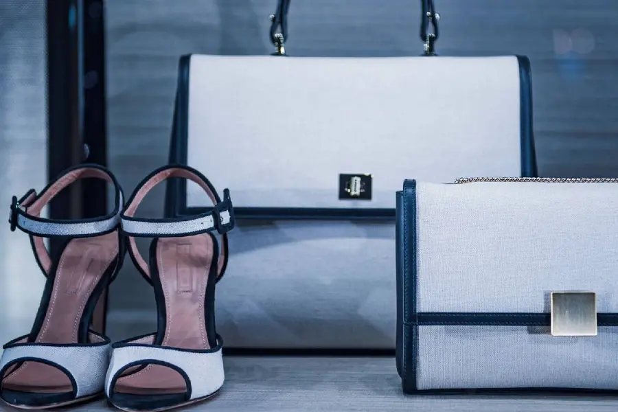 luxury bag