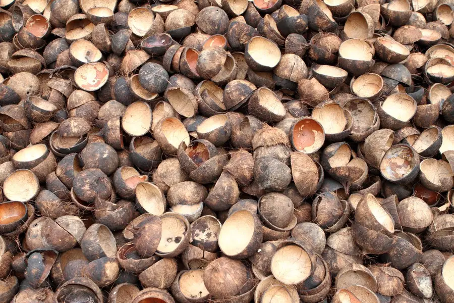 Coconut shells are big business: ₹4,688.89 crore activated carbon boom offers Kerala a chance