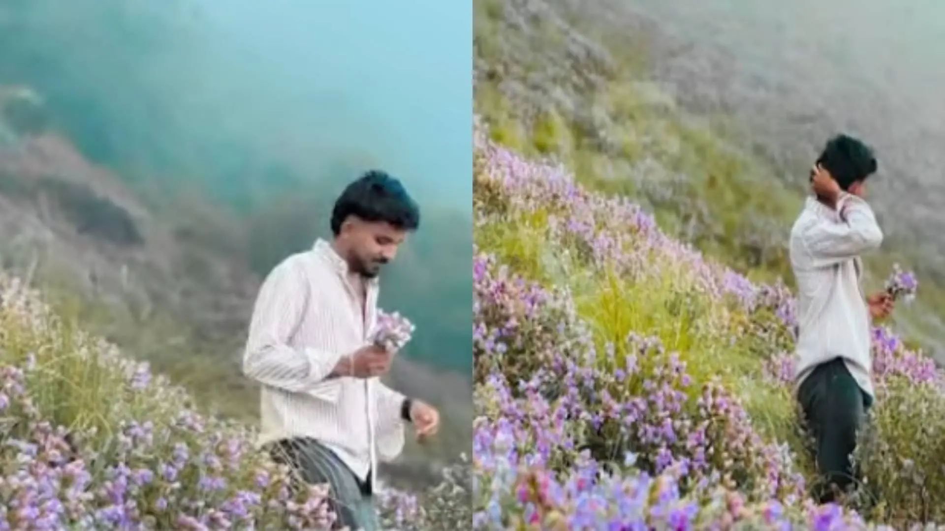നീലക്കുറിഞ്ഞിപ്പൂക്കളുമായുള്ള ഫോട്ടോഷൂട്ട് (സാമൂഹികമാധ്യമങ്ങളിൽ പ്രചരിക്കുന്ന ചിത്രങ്ങളിൽനിന്ന് | image courtesy: mathrubhumi news screengrab