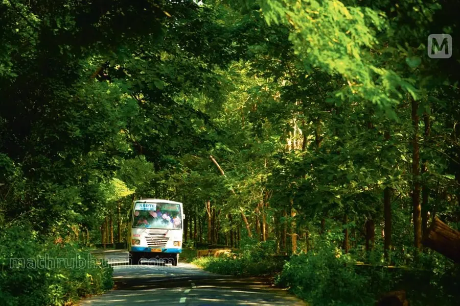 A bus operating as part of KSRTC's budget tourism