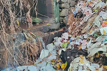 നെടുമ്പറമ്പ് തോട്ടിൽ മാലിന്യക്കൂന