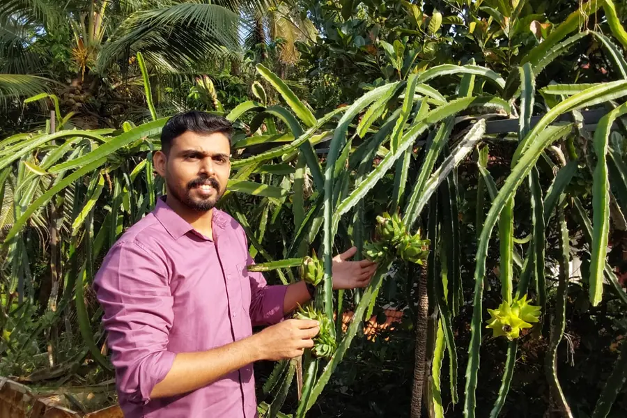 നാടൻ തൊട്ട് വിദേശിവരെ! അധ്യാപകനായ ശ്രേയസ്സിന്റെ കൃഷിയിടത്തിൽ വിളയുന്നത് നൂറോളം വ്യത്യസ്ത ഫലവർഗ്ഗങ്ങൾ