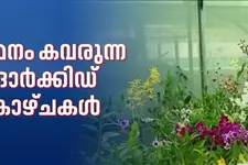 മനം കവരുന്ന ഓർക്കിഡ് കാഴ്ചകൾ.. തൃശ്ശൂരിലെ വിവിധ തരത്തിലെ ഓർക്കിഡുകളുടെ വിസ്മയലോകം കാണാം