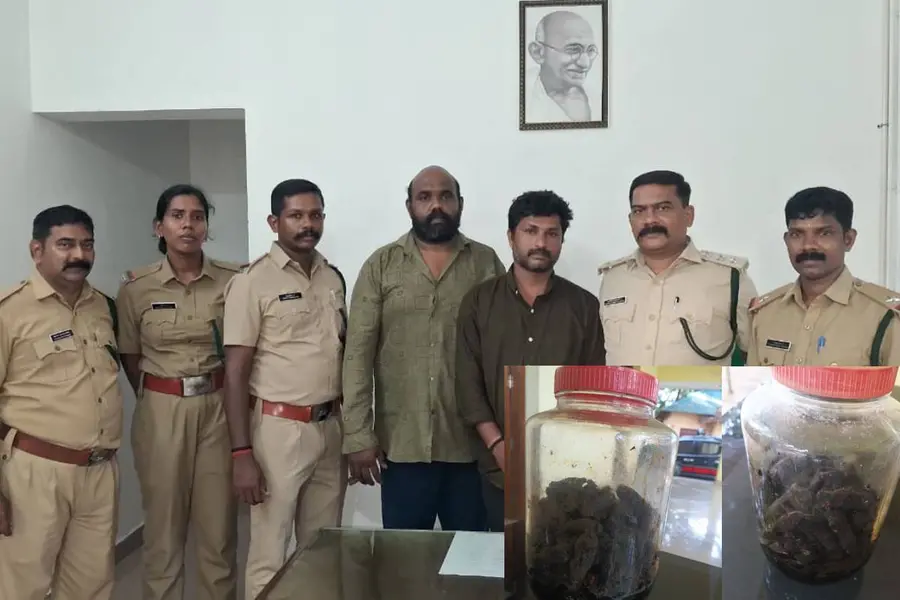 കോവളത്ത് കടൽവെളളരിയുമായി രണ്ടുപേർ അറസ്റ്റിൽ; പിടിച്ചെടുത്തത് കുപ്പിയിലാക്കിയ 80 കടൽവെള്ളരികൾ
