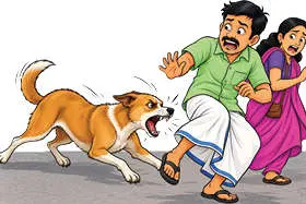 മുതുകാട് ഒട്ടേറെപ്പേർക്ക് നായയുടെ കടിയേറ്റു