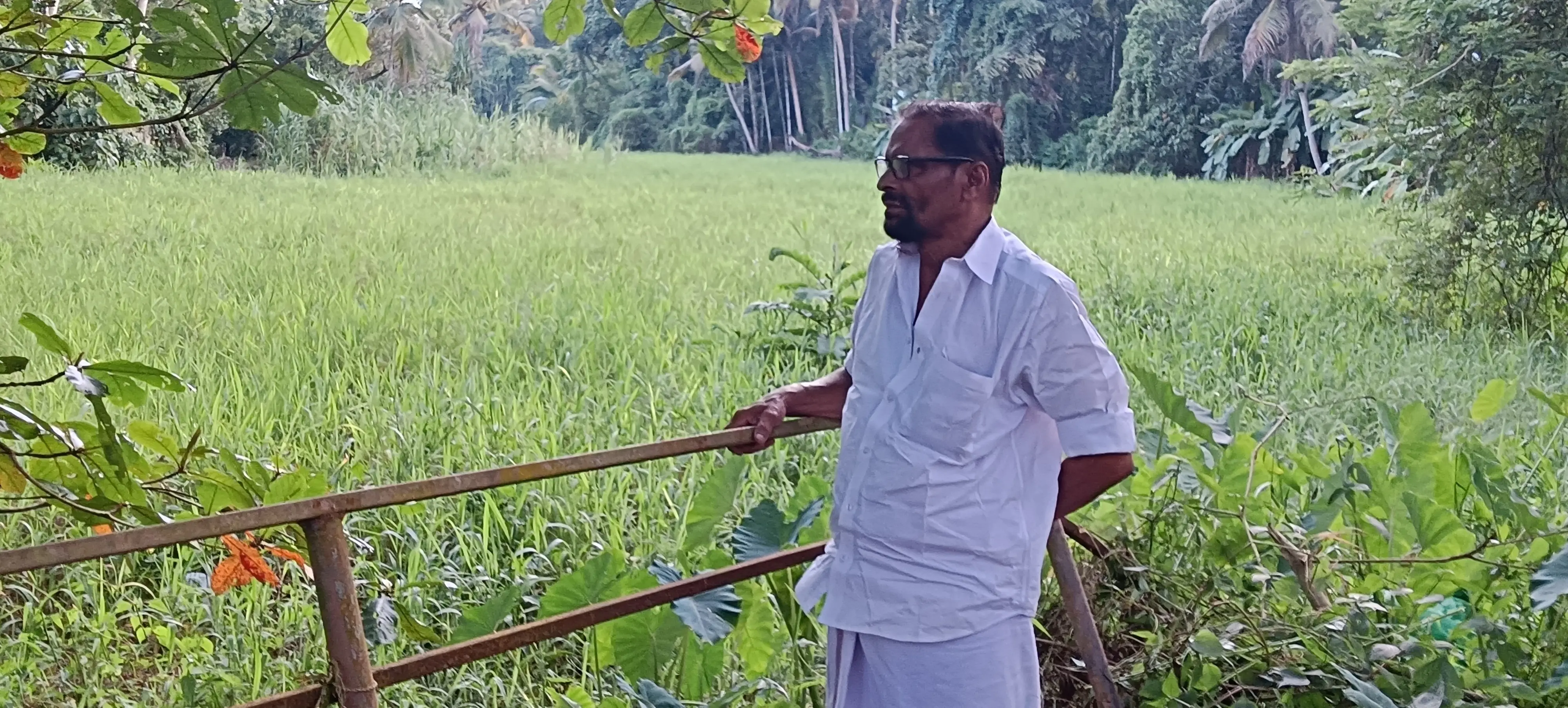 പോളയും പായലും നിറഞ്ഞ് നീരൊഴുക്കുനിലച്ച കുറുന്തറപ്പുഴയ്ക്കുസമീപം വി.കെ. ശശിധരൻ വാളവേലിൽ