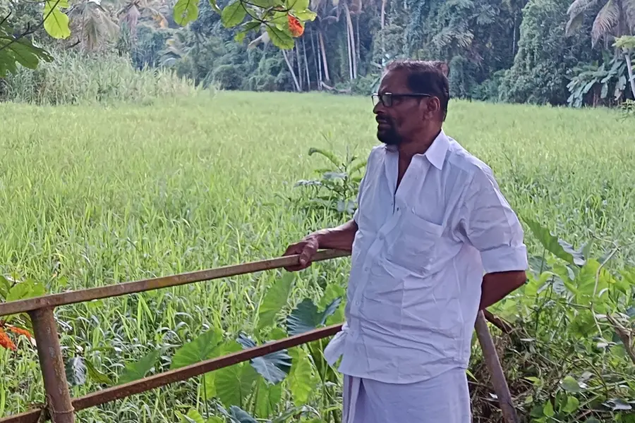 പുഴയും തോടുകളും വീണ്ടെടുക്കാൻ സ്വപ്നപദ്ധതിയുമായി മുതിർന്ന കർഷകൻ; ലക്ഷ്യം 1700 ഏക്കറിലെ നെൽകൃഷി