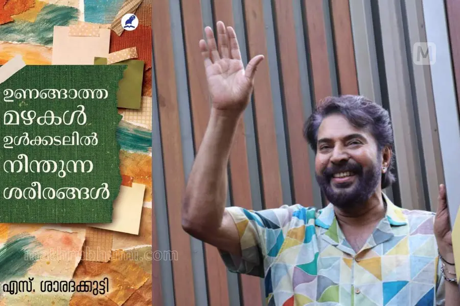 മനസ്സൊരു മാന്ത്രികക്കുതിരയായ് പായുന്നു
